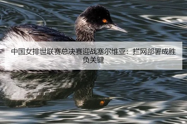 zhong-guo-nv-pai-shi-lian-sai-zong-jue-sai-ying-zhan-sai-er-wei-ya-lan-wang-bu-shu-cheng-sheng-fu-guan-jian-2-363.jpg