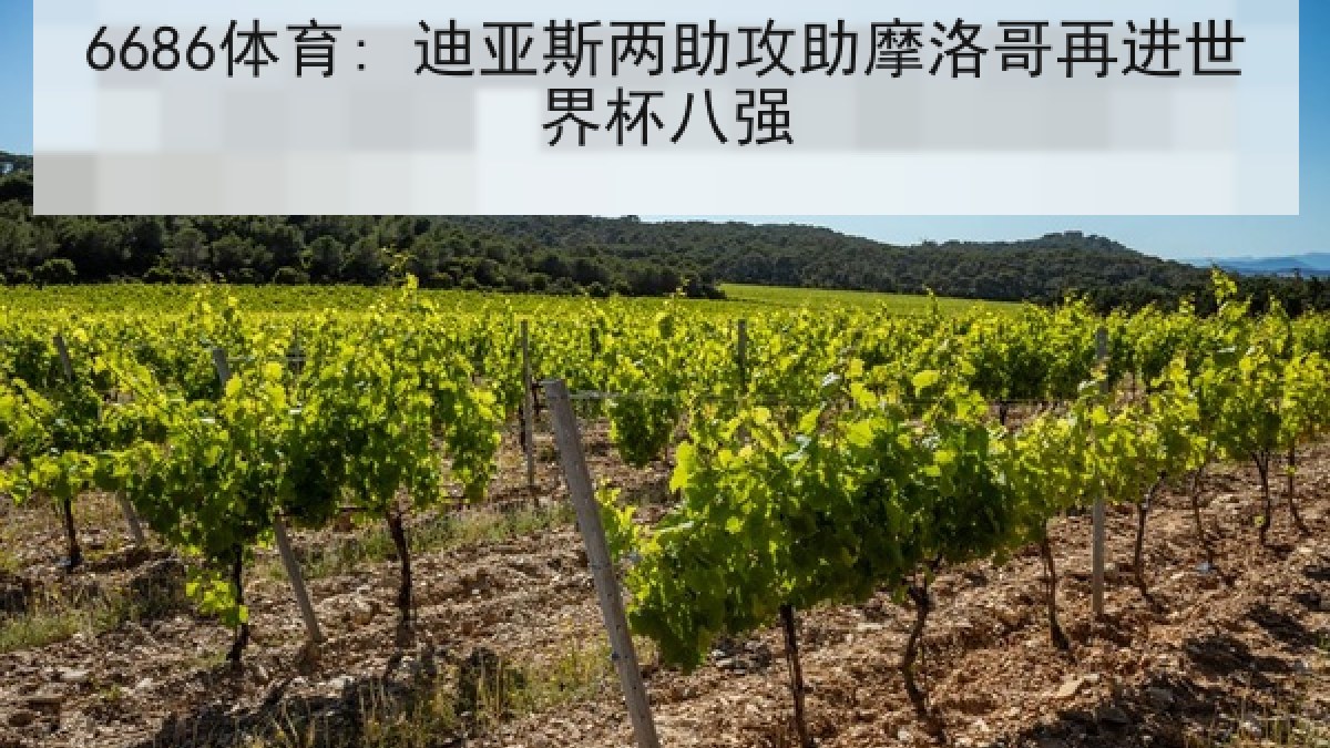 6686体育: 迪亚斯两助攻助摩洛哥再进世界杯八强