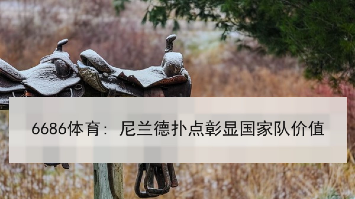 6686体育: 尼兰德扑点彰显国家队价值